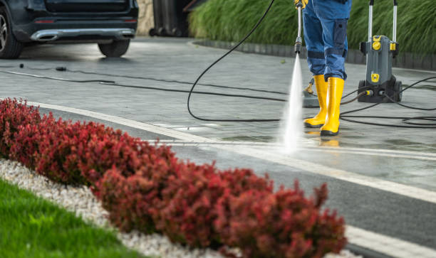 Best Roof Washing  in Gun Barrel City, TX